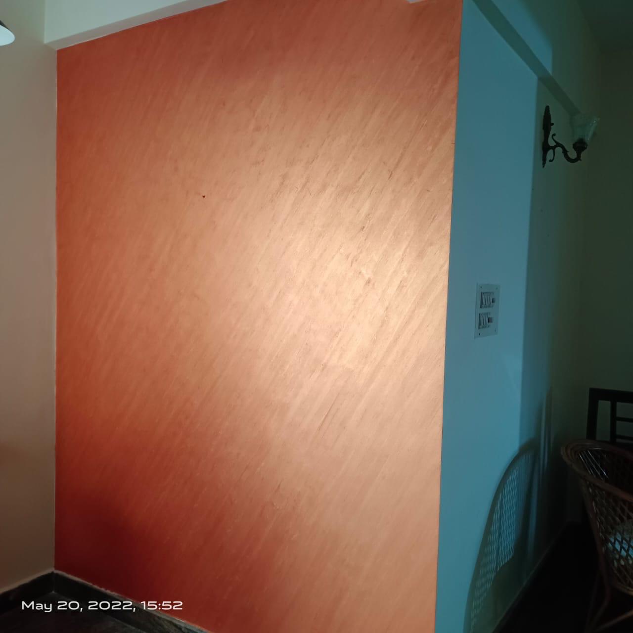 PaintDWall project photo 77