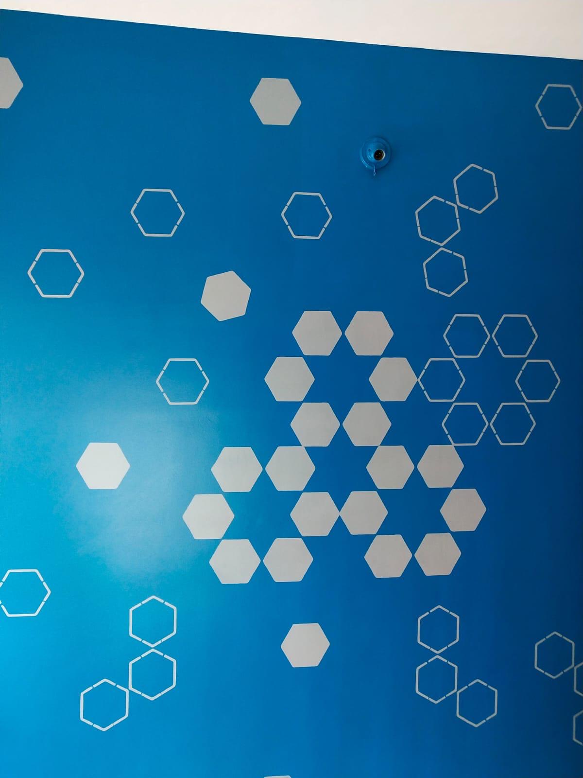 PaintDWall project photo 96